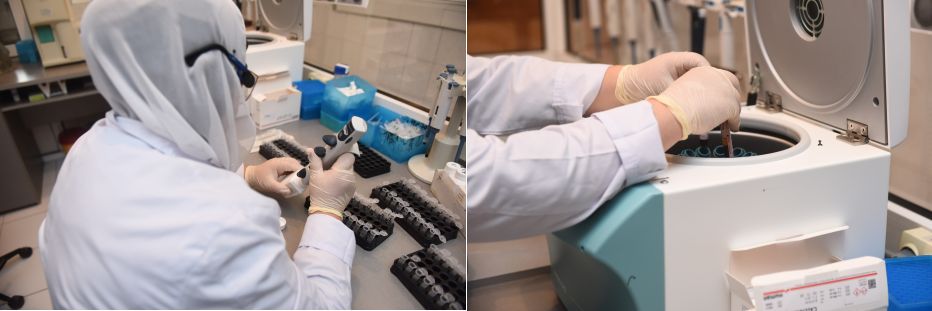 LABORATORİYA
